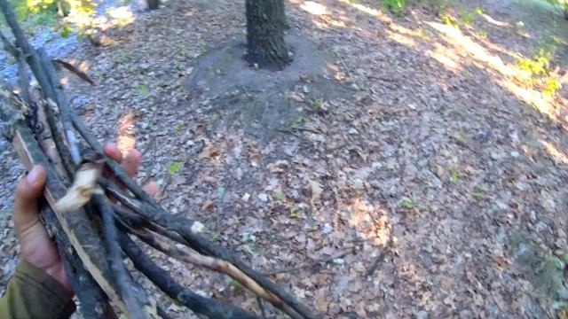 Ловля карпа на орех летом. Как такое вообще возможно? смотреть онлайн