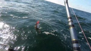 Рыбалка на Баренцевом море 20 05 20