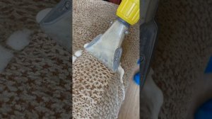 Химчистка дивана на дому, все процессы и этапы химчистки от клининговой компании Проф Клин.