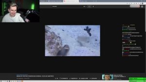 БРАТИШКИН СМОТРИТ ВЕБМЫ ТИК ТОК (28 часть)
