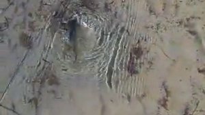 РЫБАЛКА КАМБАЛЫ НА БЕЛОМ МОРЕ