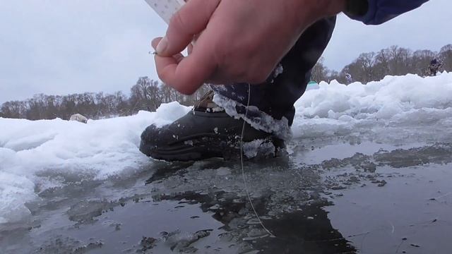 КИВОК АРБАЛЕТ ВО ВСЕЙ КРАСЕ!!!.ЗИМНЯЯ РЫБАЛКА).ЛОВЛЯ ПЛОТВЫ.
