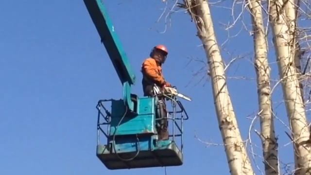 Спил деревьев частями. Спецпартнер.рф смотреть онлайн