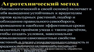 Вредитель крестоцветных культур рапсовый листоед и эффективная борьба с ним