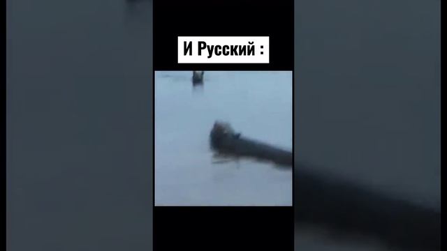 прикол россия и медведь