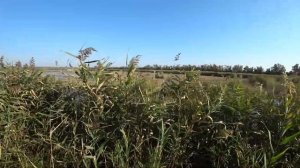 Село Маяки. Нижнеднестровский национальный природный парк.