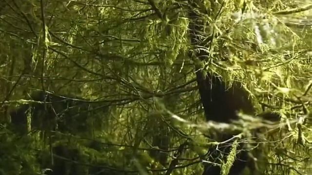 Очень красивая история, из жизни пророка Мухаммада ﷺ