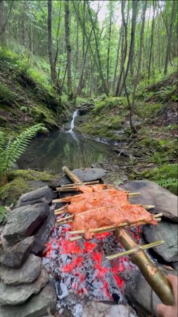 Приготовление курицы на дровяном гриле