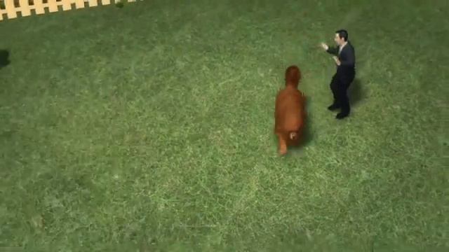 How do you bribe Chinese politicians? Give them Tibetan mastiffs seriously!