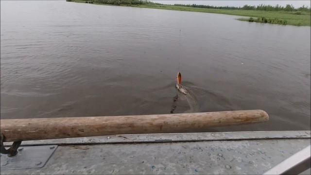 Джерк... Атака! Щука! смотреть онлайн