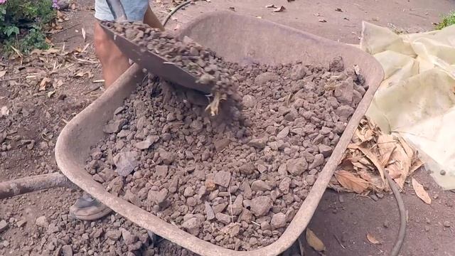 Gardening with Ghislain смотреть онлайн