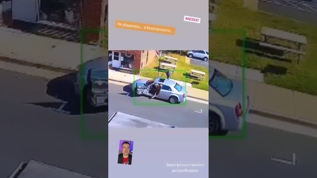 Карточка видео
