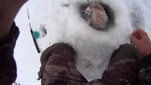 ТРОФЕЙНЫЕ СУДАКИ! МЕЧТА А НЕ РЫБАЛКА! ЗИМНЯЯ РЫБАЛКА 2020-2021.