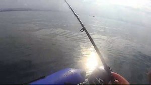 чёрное море ловля селёдки