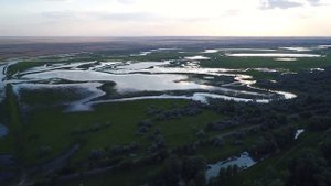 Астраханская область, Соленое Займище