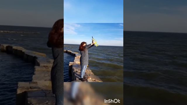 Морская черепаха в естественной среде. вяжуназаказ вязанаячерепаха handmade_djyka черепаха