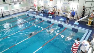 Соревнования по плаванию среди клиентов СК SPARTAK 11 ноября 2018 года