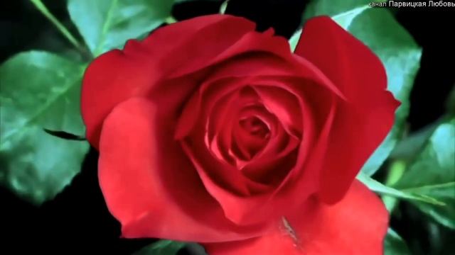 Любимой Маме. Поздравления с Днем матери. Душевное поздравление с Днем мам