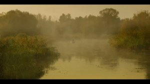 Раннее утро на рыбалке, звуки природы..