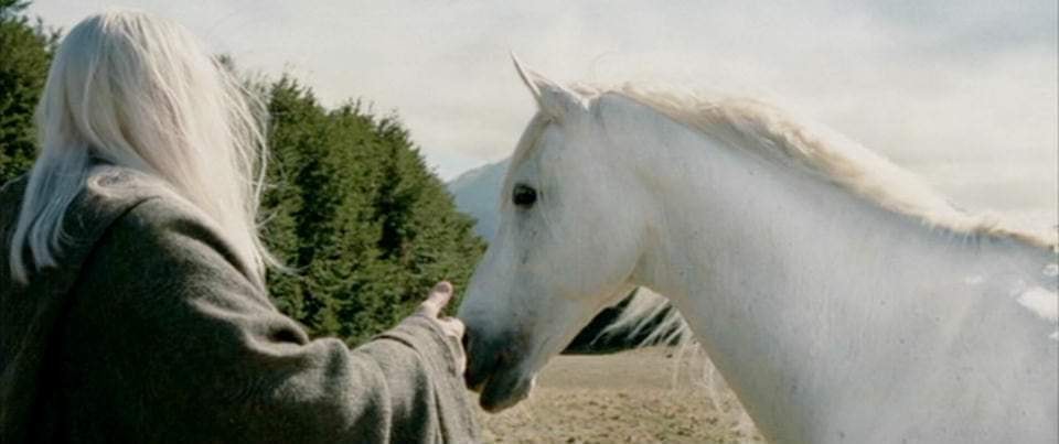 "Несчастье или благословение" притча смотреть онлайн