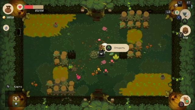 ?Тупо посиделочки 4? смотреть онлайн