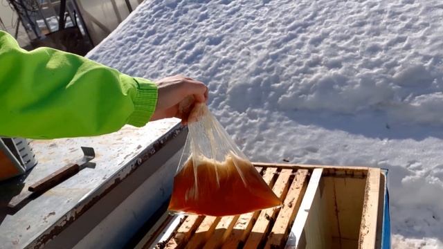 Подкармливаю пчёл медовой сытой смотреть онлайн