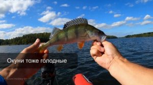 Рыбалка в Финляндии. Судак на озере Симпелеярви