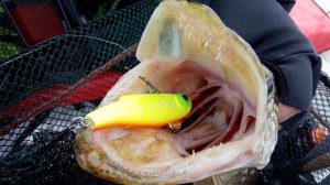 Вибы против джига. Ловля щуки и окуня. Рыбалка на водохранилище