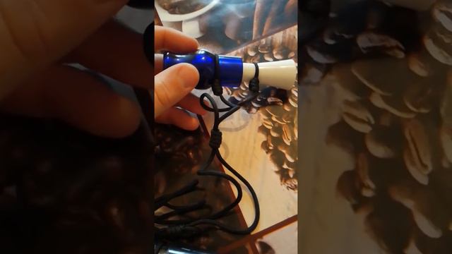 На что обратить внимание при покупке духового манка смотреть онлайн