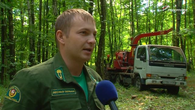 В Серпухове идёт уборка неликвидной древесины смотреть онлайн