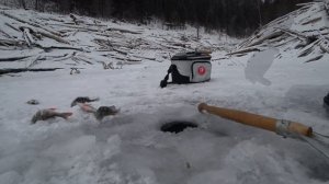 ✅Она реально УДИВИЛА Тульская мормышка ЛОВИТ!