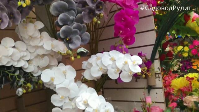 САДОВОД ?ИСКУССТВЕННЫЕ ЦВЕТЫ ?ГДЕ НАХОДЯТСЯ ПАВИЛЬОНЫ С ЦВЕТАМИ ?САДВОД РУЛИТ??
