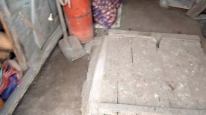 Копаем картошку, морковь / готовлю котлеты на ужин/