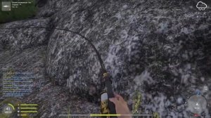 Русская рыбалка 4 / Ладожское озеро / Осетр балтийский на плотву