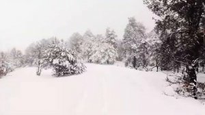 Кристально чистые реки, бежащие сквозь зеленые леса