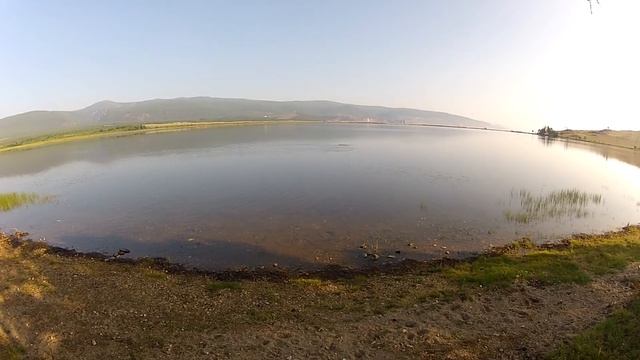 Видео охота. Баклан на рыбалке. смотреть онлайн