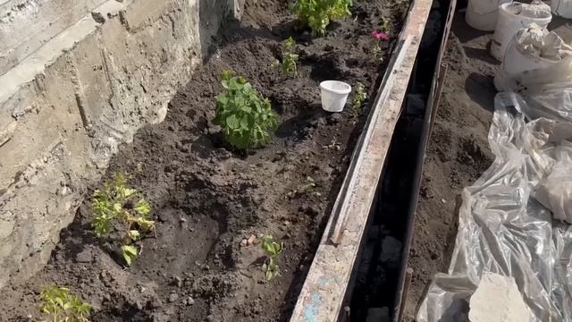 Соседи смеялись пока я делала потрясающую ЛЕСТНИЦУ своими руками, а потом …. смотреть онлайн