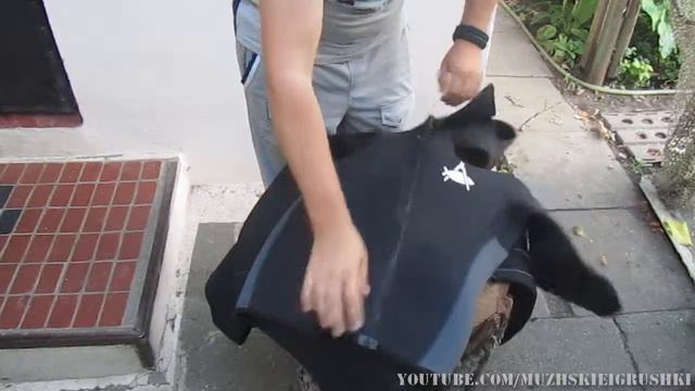 Гидрокостюм Technisub Walea. Обзор смотреть онлайн