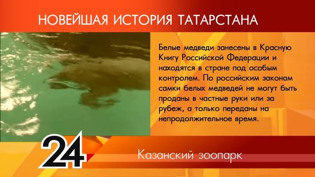 ИСТОРИЯ ТАТАРСТАНА Казанский зоопарк смотреть онлайн