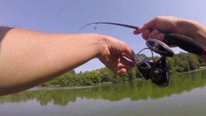 Бюджетно и эффективно! Обзор комплекта Daiwa Ninja Z и катушки Daiwa Fuego 2500