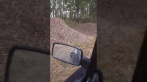 Птицефабрика в белово просто жгет!