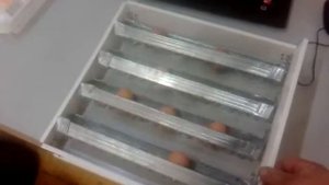 автопереворот яиц для инкубатора