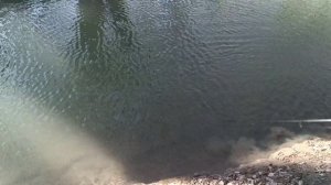 форелевое хозяйство, и работы и рыбалка