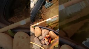 Фильтр для пруда из насоса от стиралки