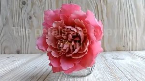 Пион из фасолевой пасты (Bean paste)