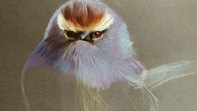СУХАЯ ПАСТЕЛЬ. Рисуем дома экзотическую птицу.Dry pastel.Painting. Как рисовать пастелью. смотреть онлайн