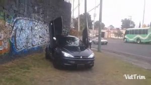 Peugeot 206 tuning lambo