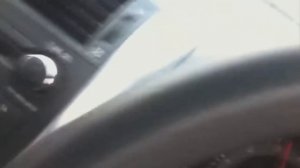 Атака диких животных на людей во время сафари!