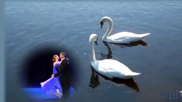 Сергей Сумин Женщина моя