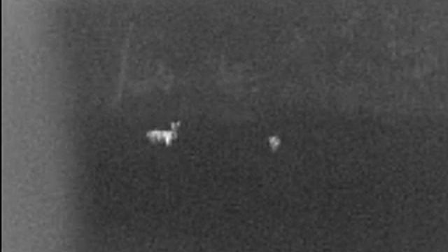 IR518 caprioli 150 200 mt смотреть онлайн